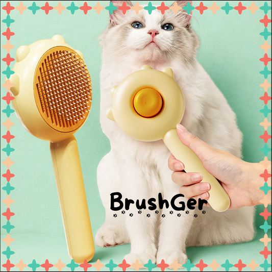 BrushGer